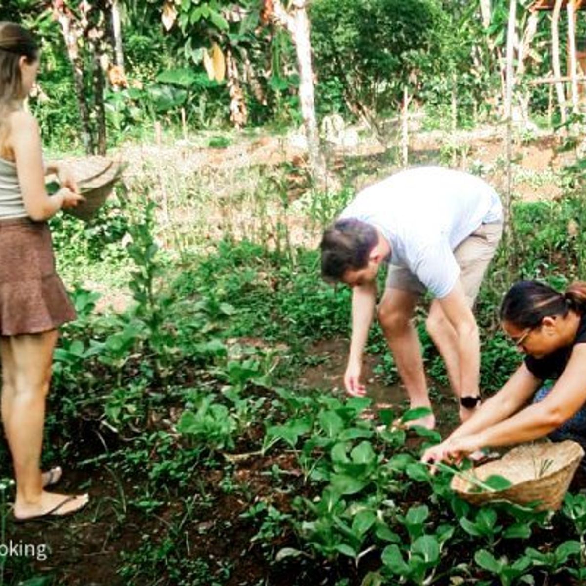 Advanced Balinese Cooking Class on Organic Farm - Morning Class