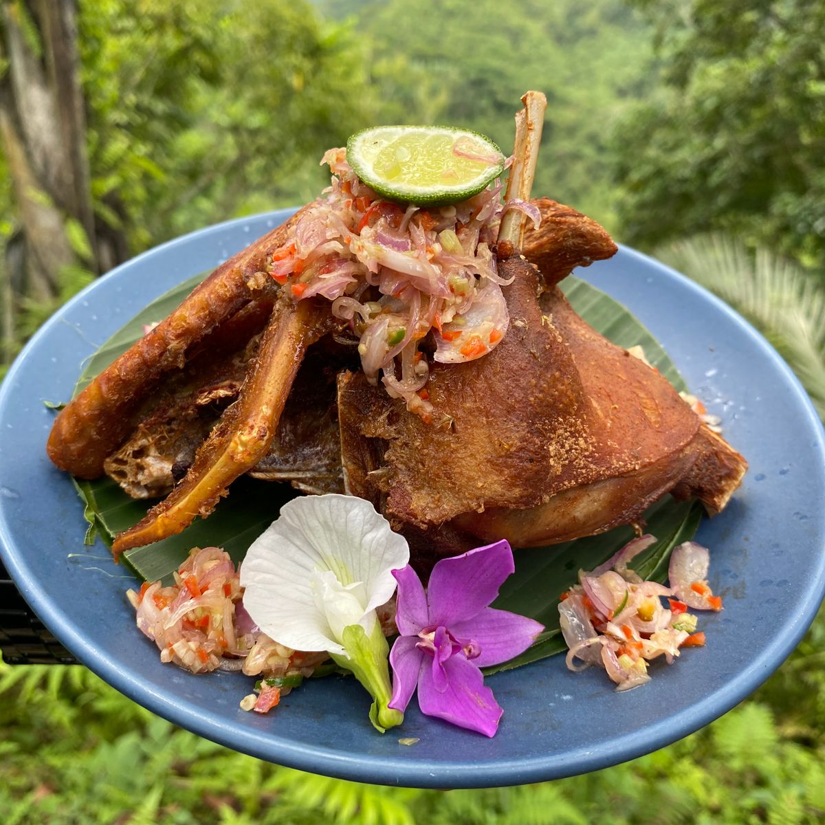 Advanced Balinese Cooking Class on Organic Farm - Morning Class
