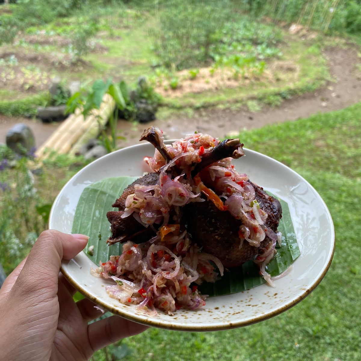Advanced Balinese Cooking Class on Organic Farm - Morning Class