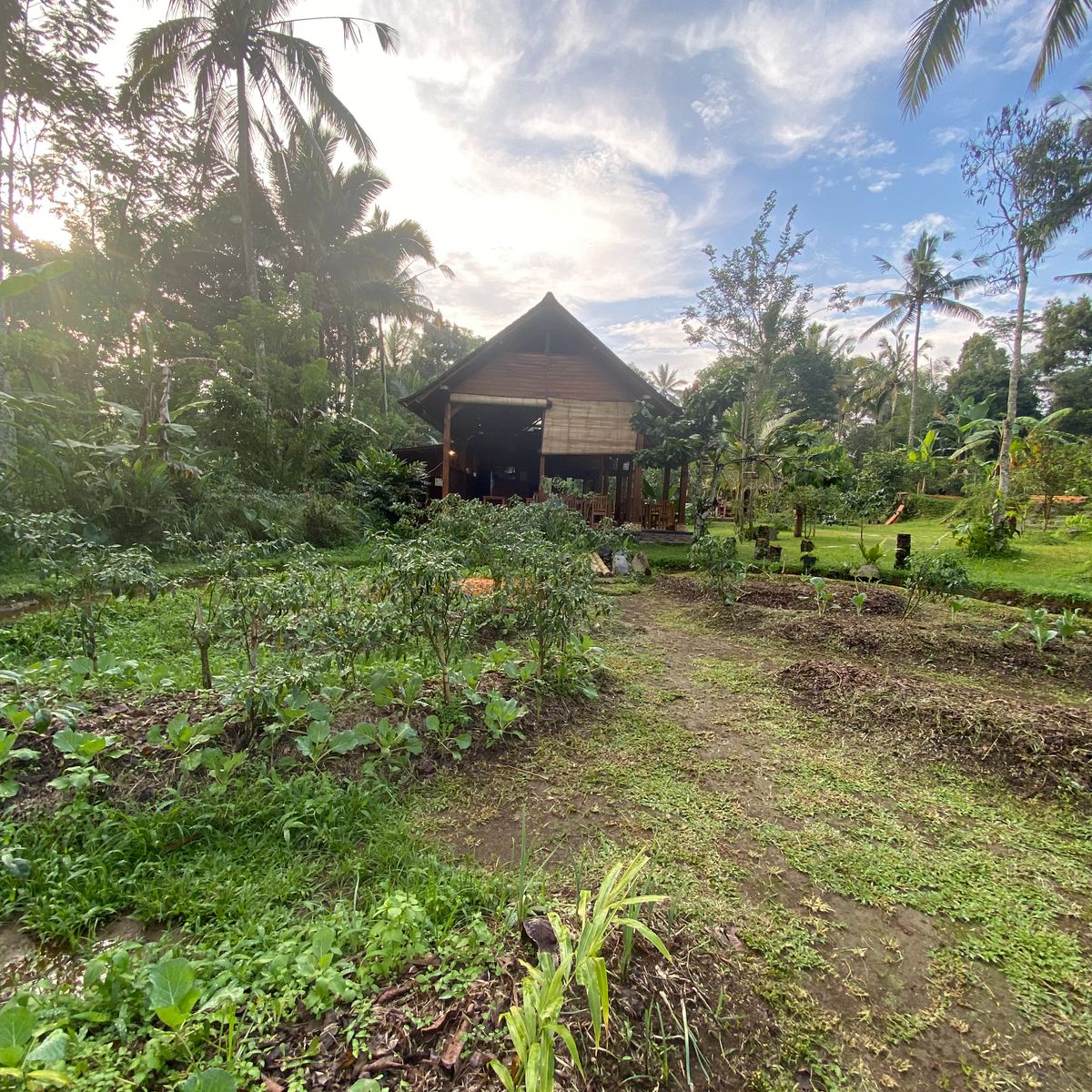 Advanced Balinese Cooking Class on Organic Farm - Morning Class