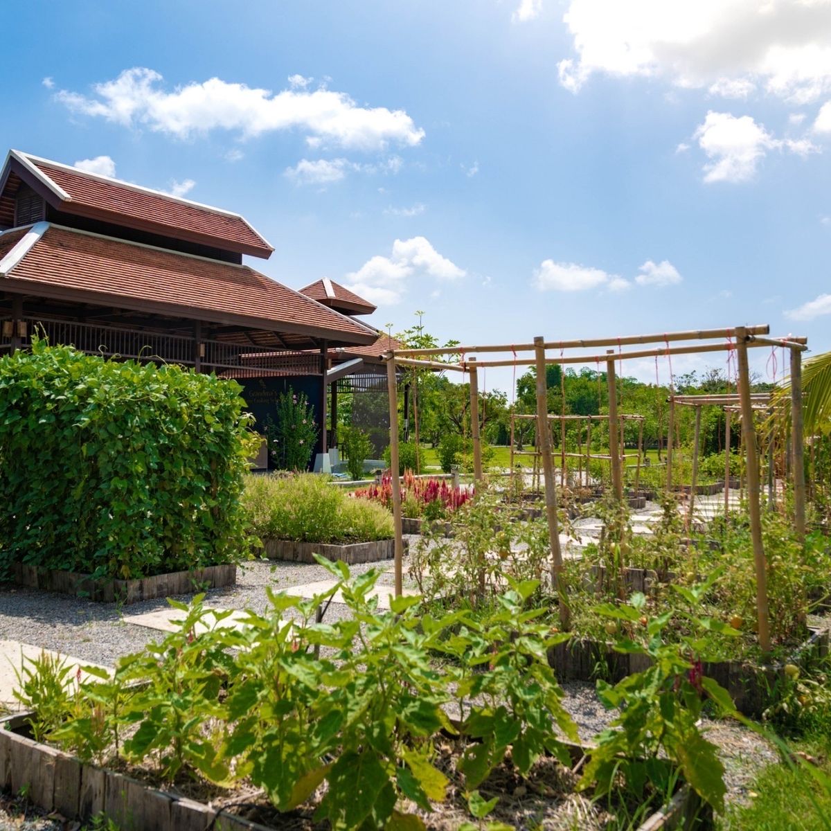 Cours de l'après-midi dans un pavillon traditionnel avec un magnifique jardin