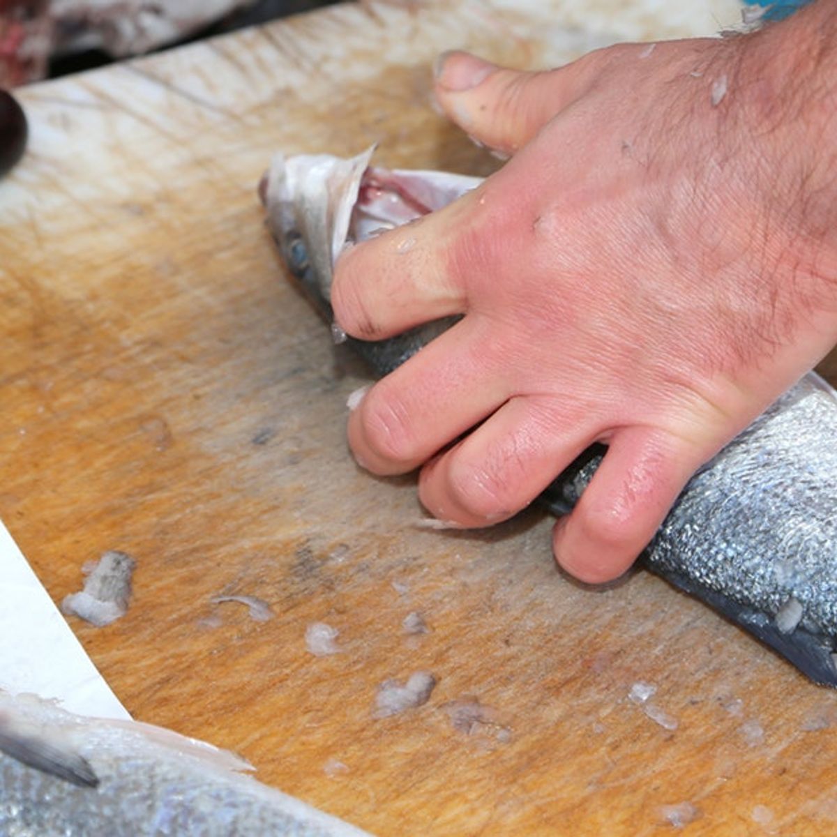 All Inclusive Small Group Day Trip from Venice: Organic Farm Visit & Seafood Prosecco Lunch
