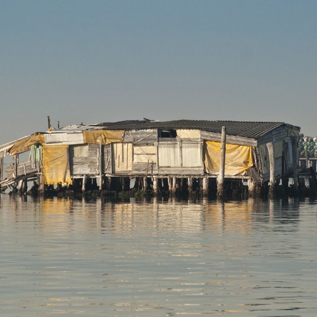 All Inclusive Small Group Day Trip from Venice: Organic Farm Visit & Seafood Prosecco Lunch
