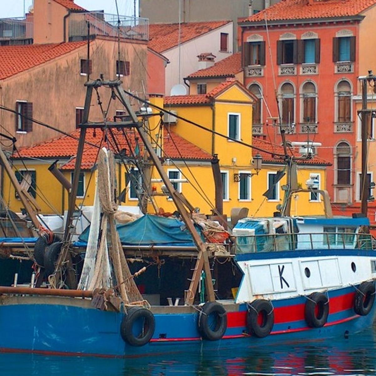 All Inclusive Small Group Day Trip from Venice: Organic Farm Visit & Seafood Prosecco Lunch