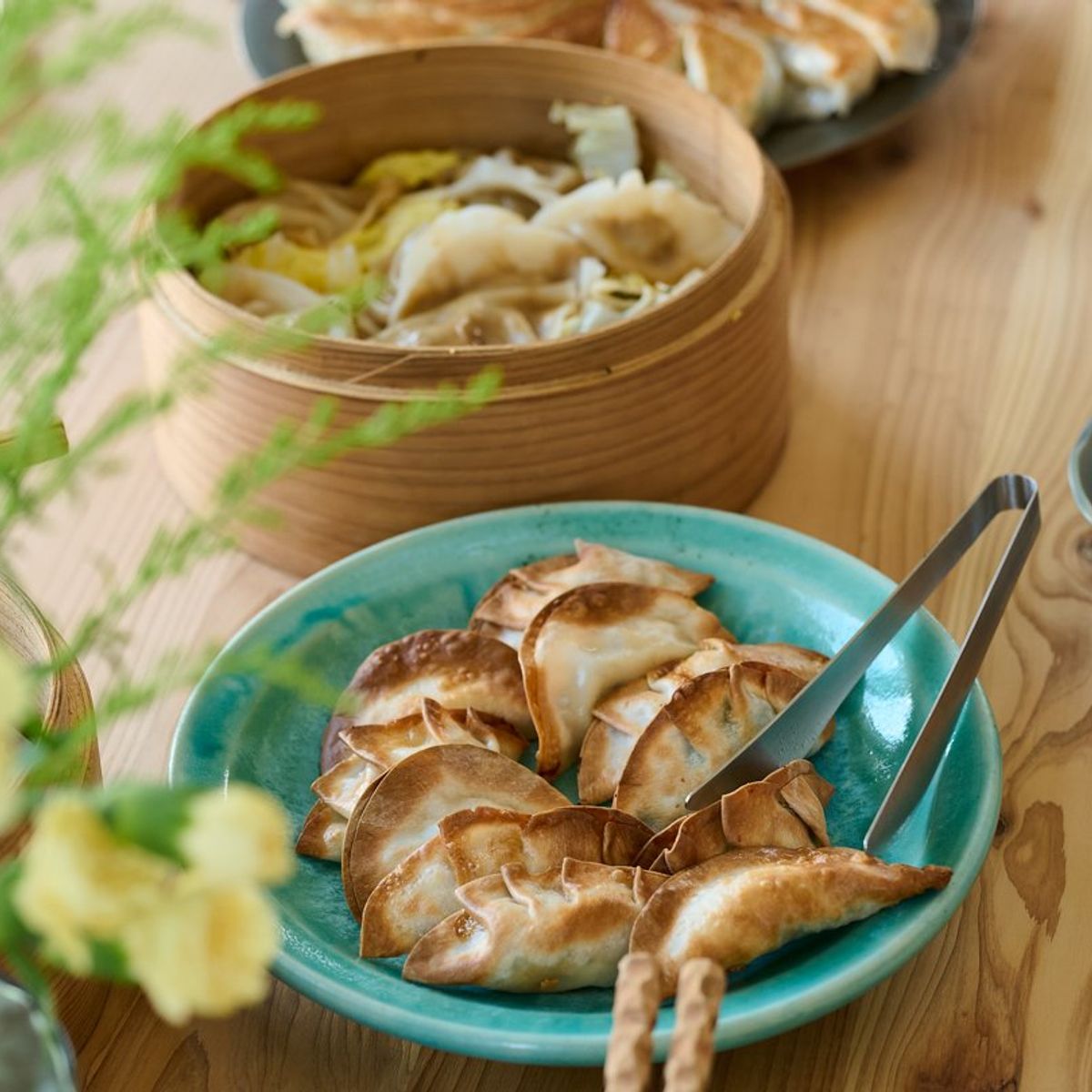 Vegan Gyoza Masterclass: Crispy Pan-Fried & Umami-Steamed Delights - Private Class