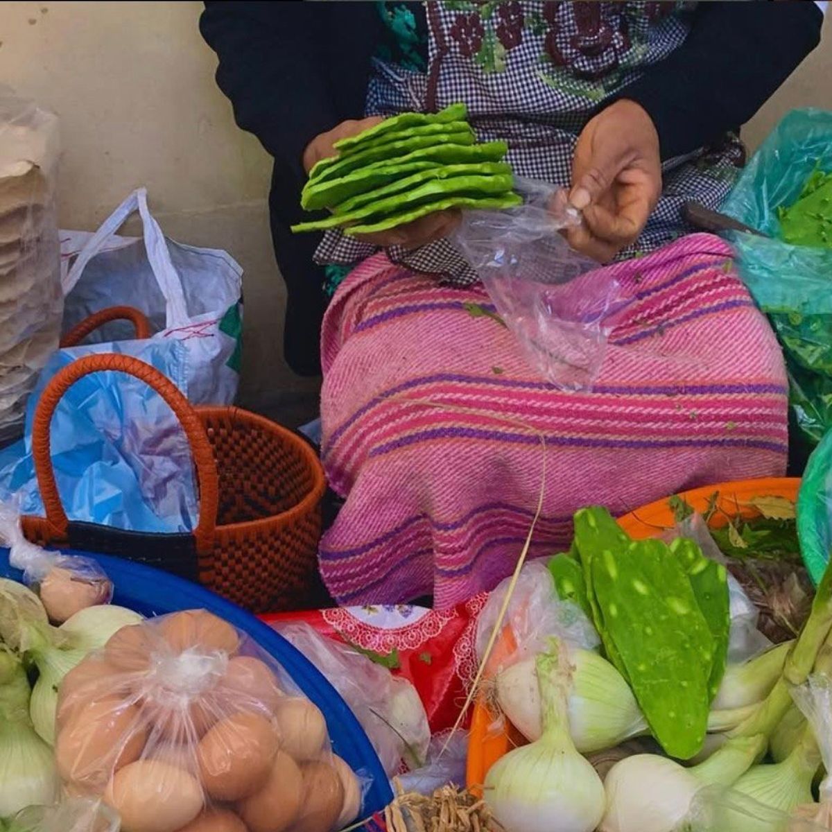 Authentic Oaxacan Cooking Experience and Market Tour