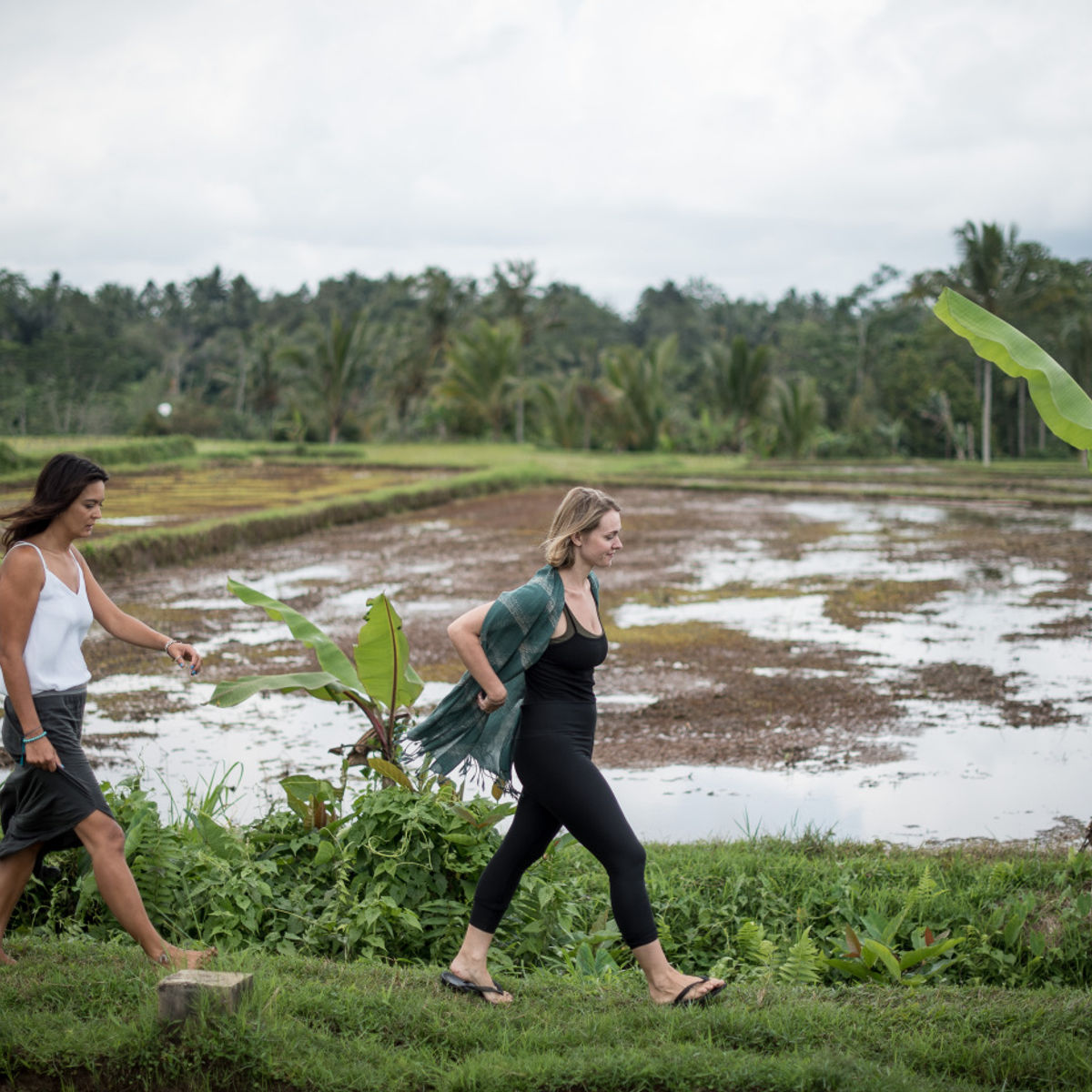 Forage in Rain Forest Gardens and Healthy Vegan Cooking Day Plan