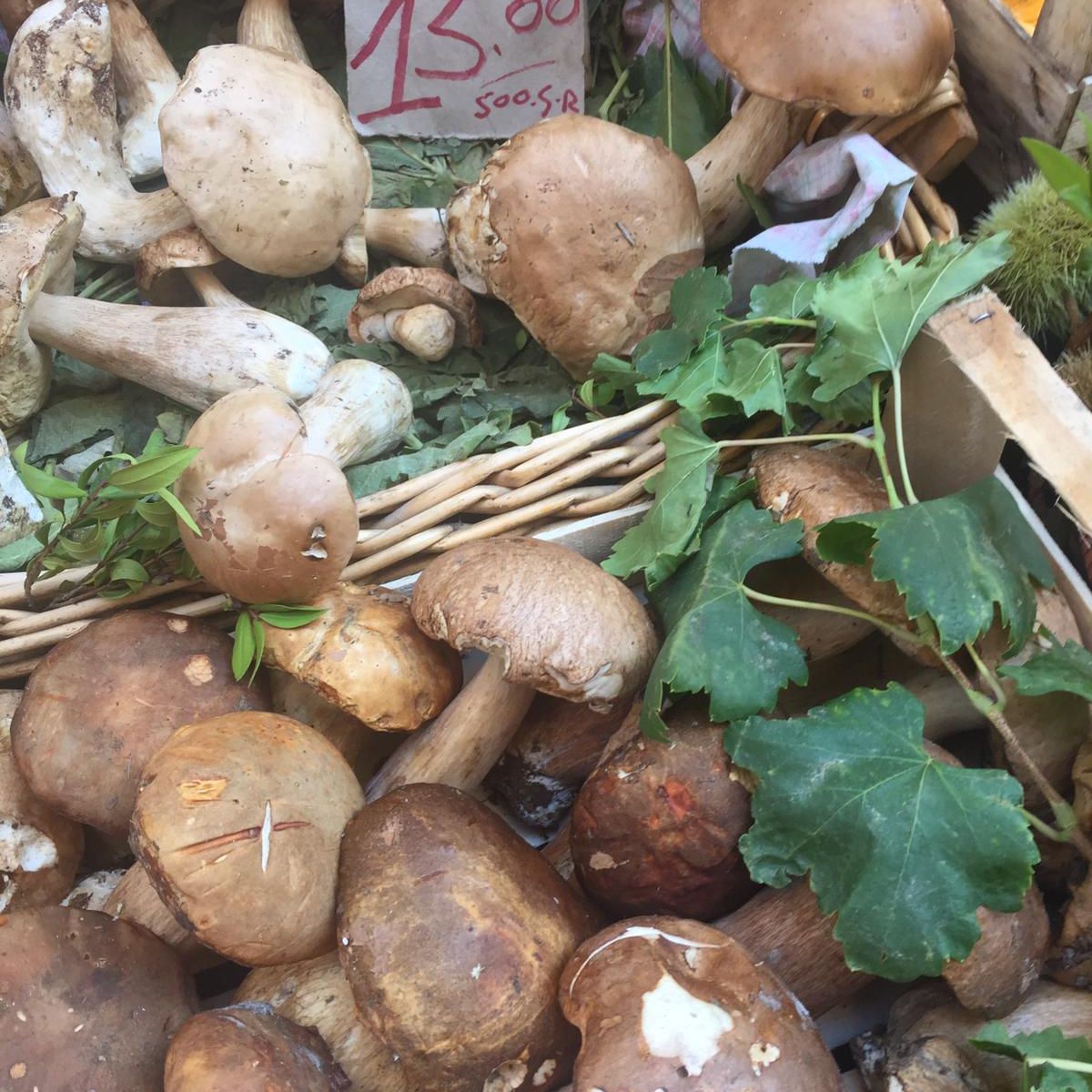 Antignano Local Market Tour with Giorgia Chiatto