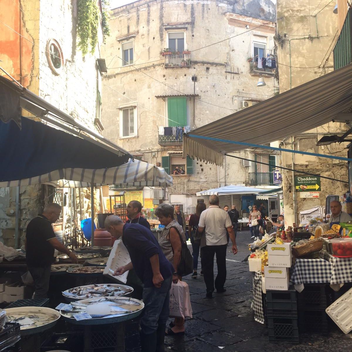 Antignano Local Market Tour with Giorgia Chiatto