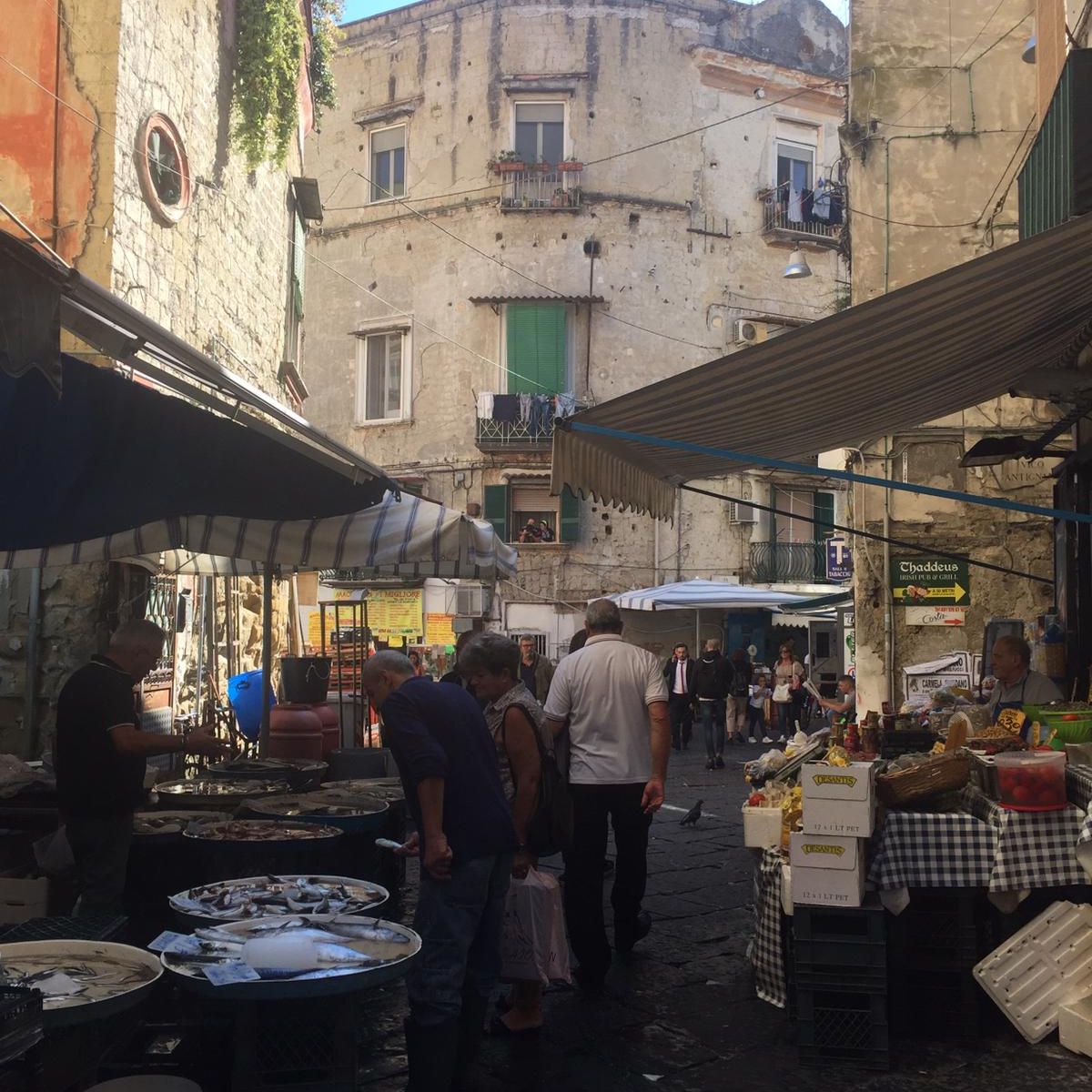 Antignano Market Tour and Hands-on Cooking Session with Giorgia Chiatto Private Class