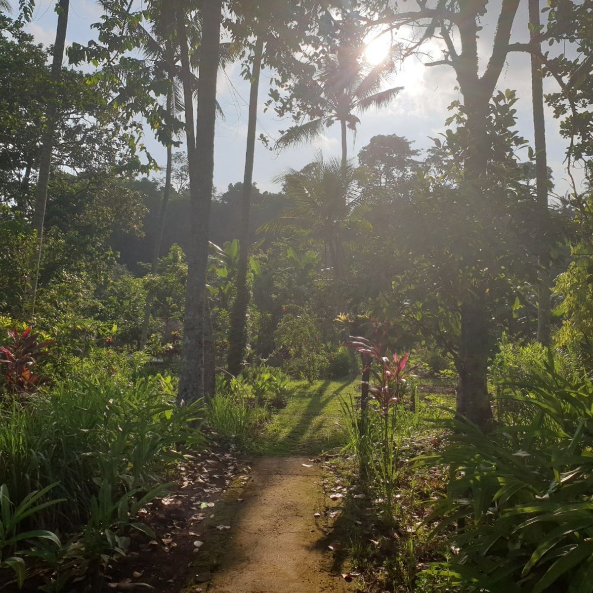 Authentic 15-Recipe Balinese Ceremonial Feast, only 8 cooks per class - Pick Organic Produce in our Garden.