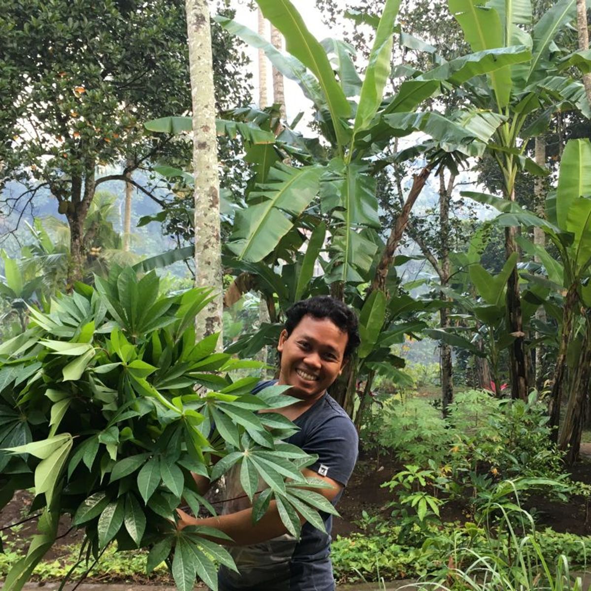 Authentic 15-Recipe Balinese Ceremonial Feast, only 8 cooks per class - Pick Organic Produce in our Garden.