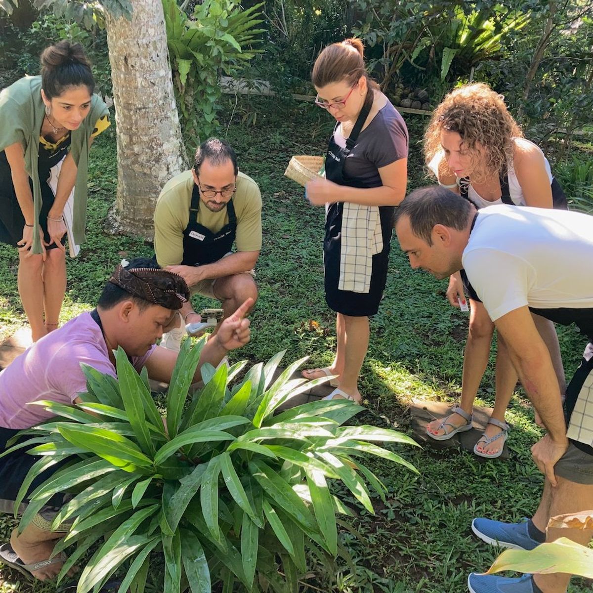 Private Authentic 15-Recipe Balinese Ceremonial Feast, only 8 cooks per class - Pick Organic Produce in our Garden.