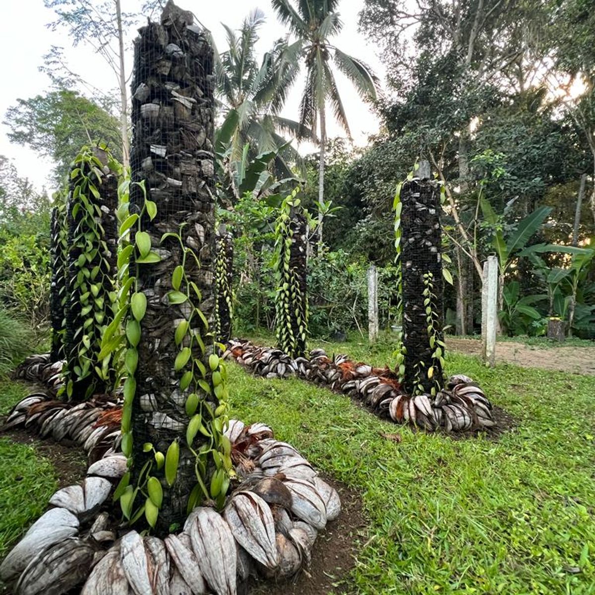 Authentic Balinese Cooking Class in Organic Farm with Market and Rice Field Tour