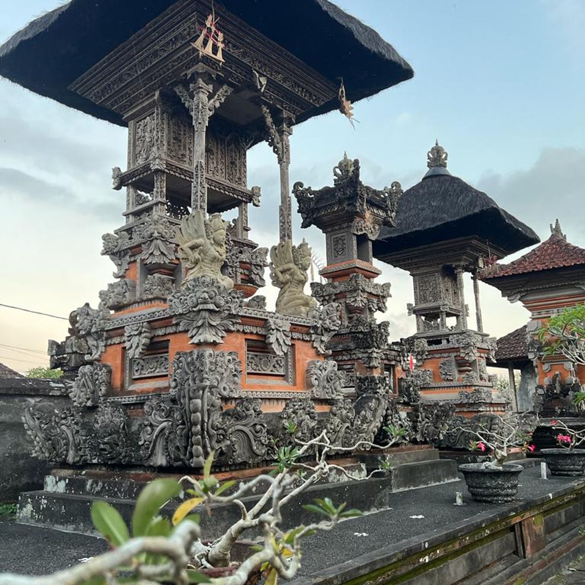 Authentic Balinese Cooking Class in Organic Farm with Market and Rice Field Tour