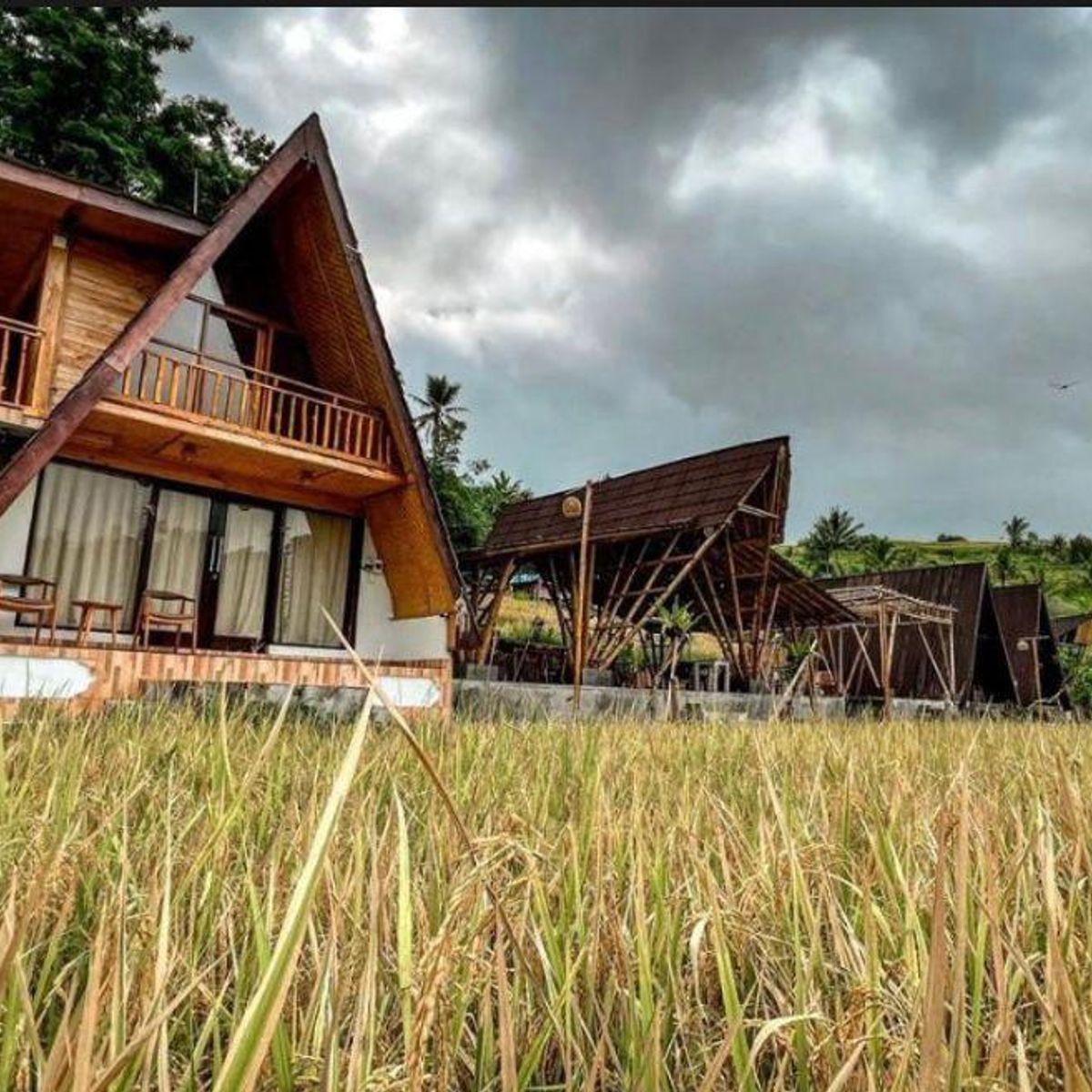 Authentic Balinese Cooking & Jatiluwih Rice Terrace Trek (Cooking Class + 1 Night)