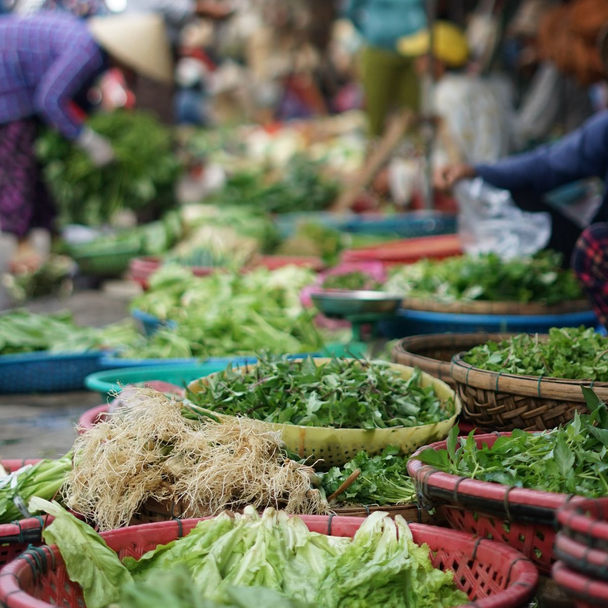 Authentic Cooking Class with Local Vietnamese Family in Rural Countryside
