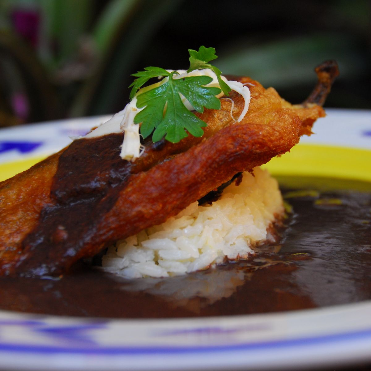 Authentic Oaxacan Cooking Experience and Market Tour