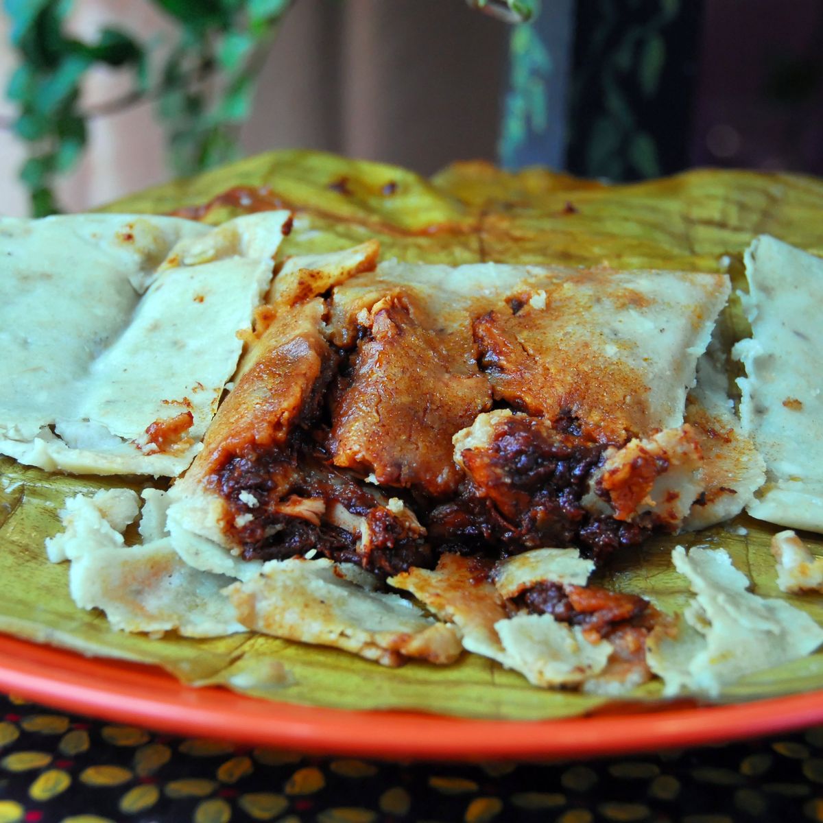 Authentic Oaxacan Cooking Experience and Market Tour
