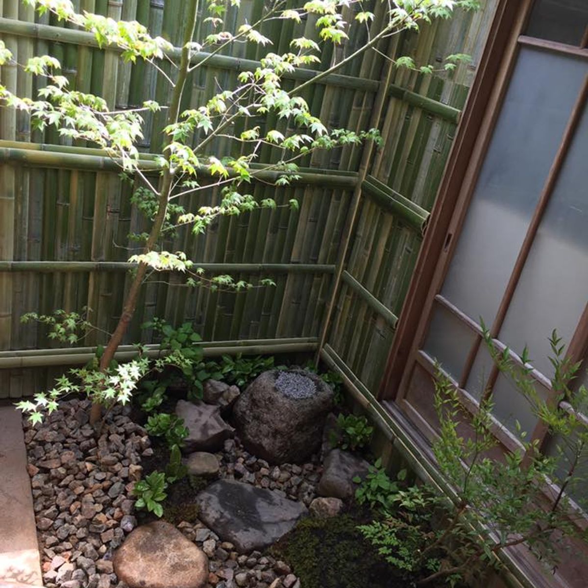 Authentic Tea Ceremony near Golden Pavilion Kyoto