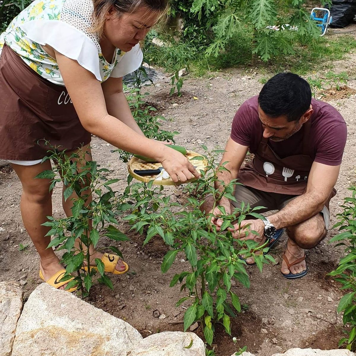 Learn to Make Thai Dishes in an Intimate Neighborhood