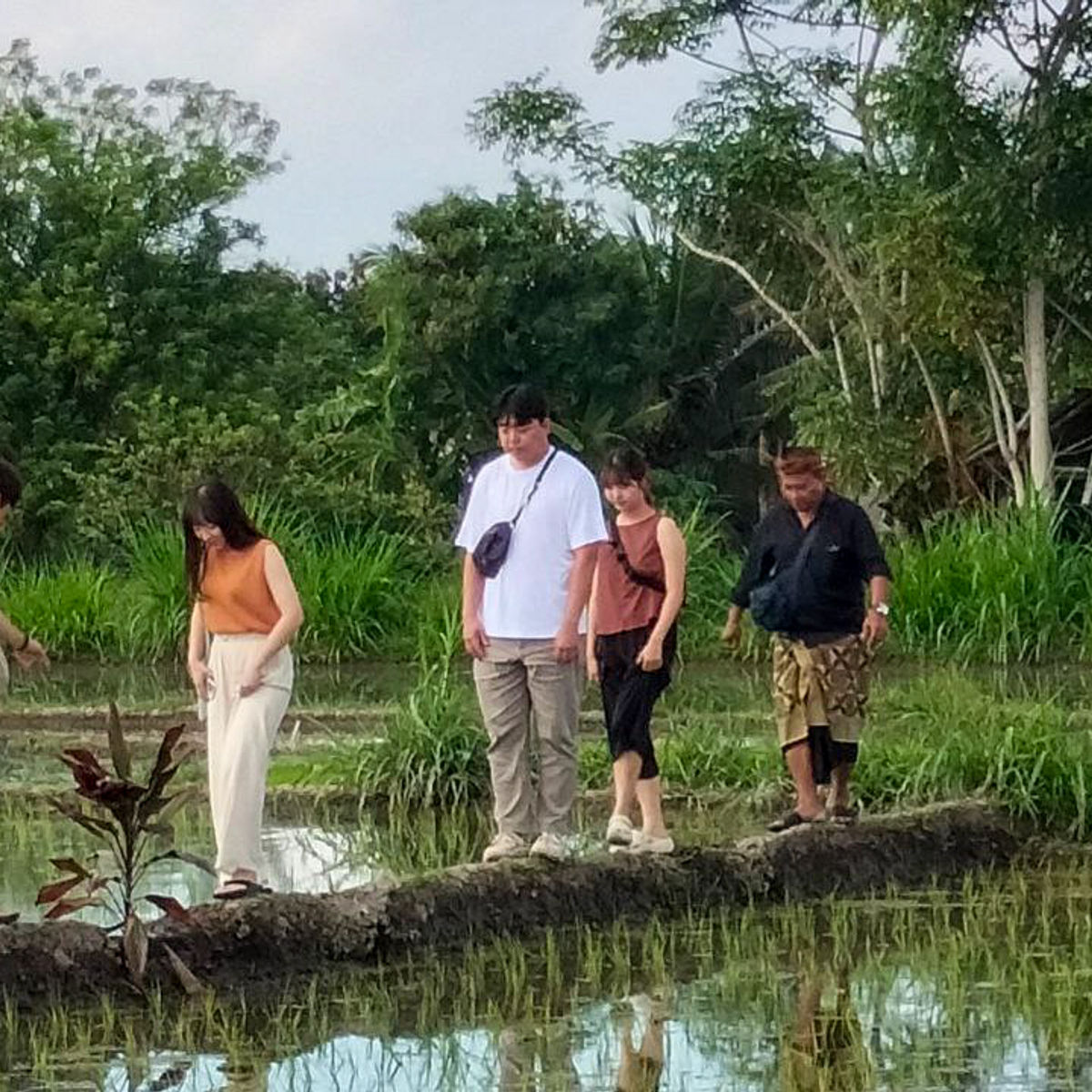 Authentic Bali Cooking Class and Farm Tour in Bakas Village