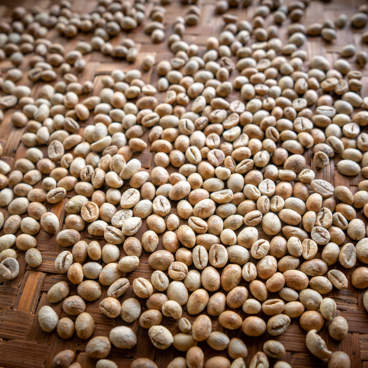 Balinese Coffee Brewing and Farm Tour with Lunch