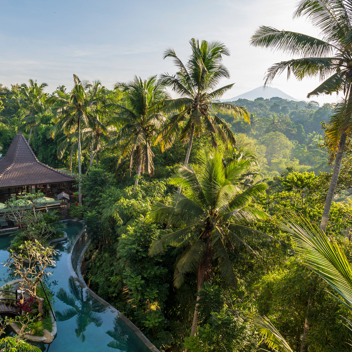 Hands-On Balinese Cooking Experience with Local Market Visit