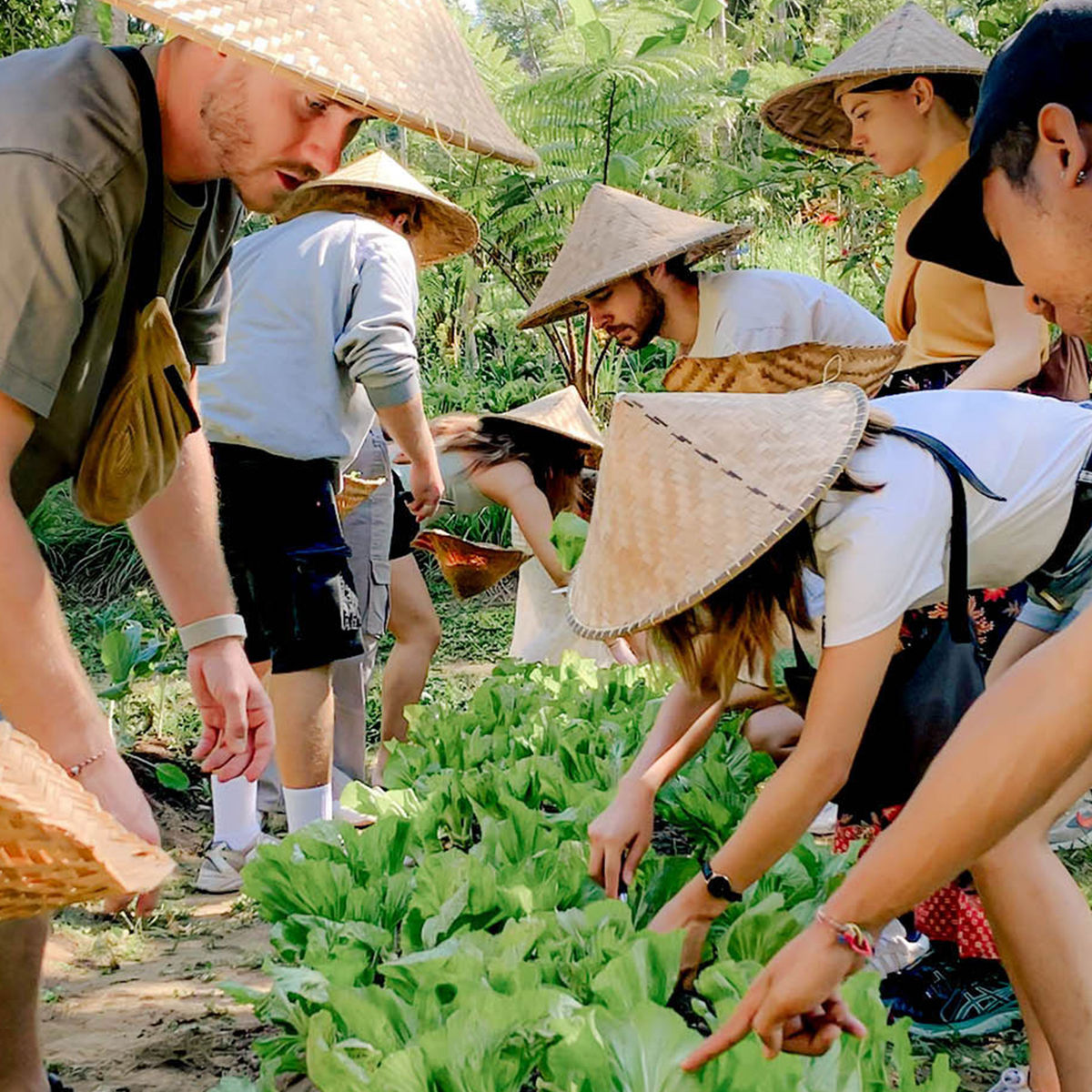 Advanced Balinese Cooking Class in a Family Farm