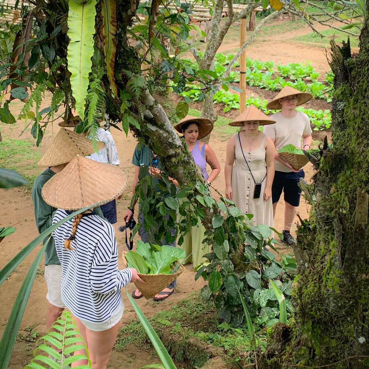 Balinese Morning Cooking Class in a Family Farm