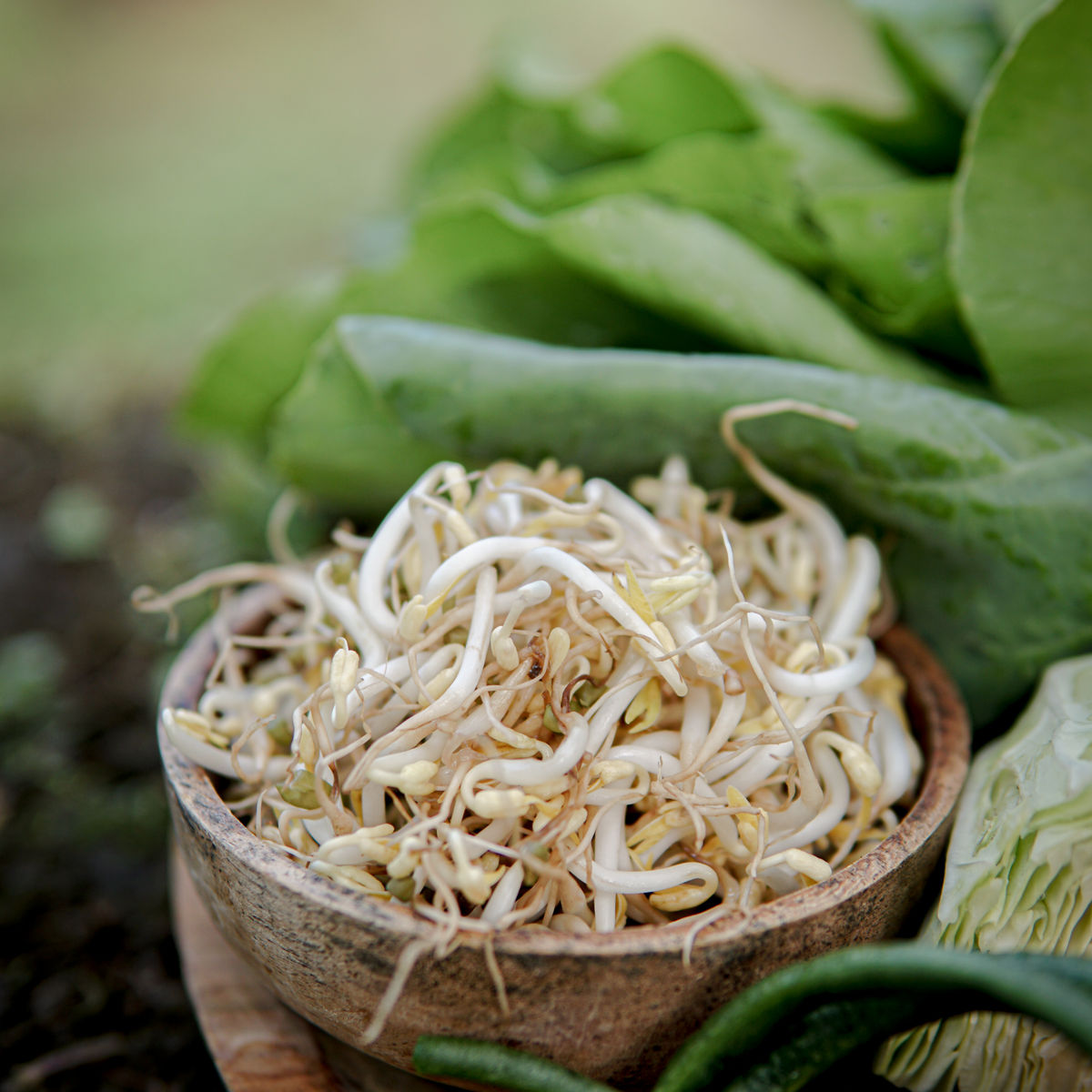 Balinese Morning Cooking Class in a Family Farm