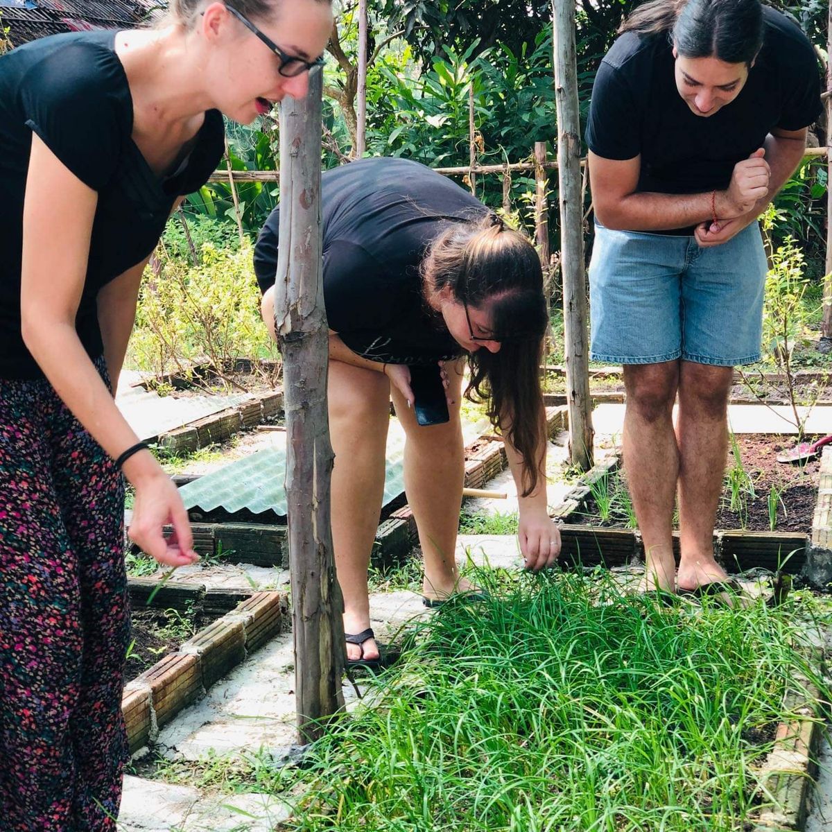 Benny's Home Cooking Class with Local Market Visit & Organic Garden Tour