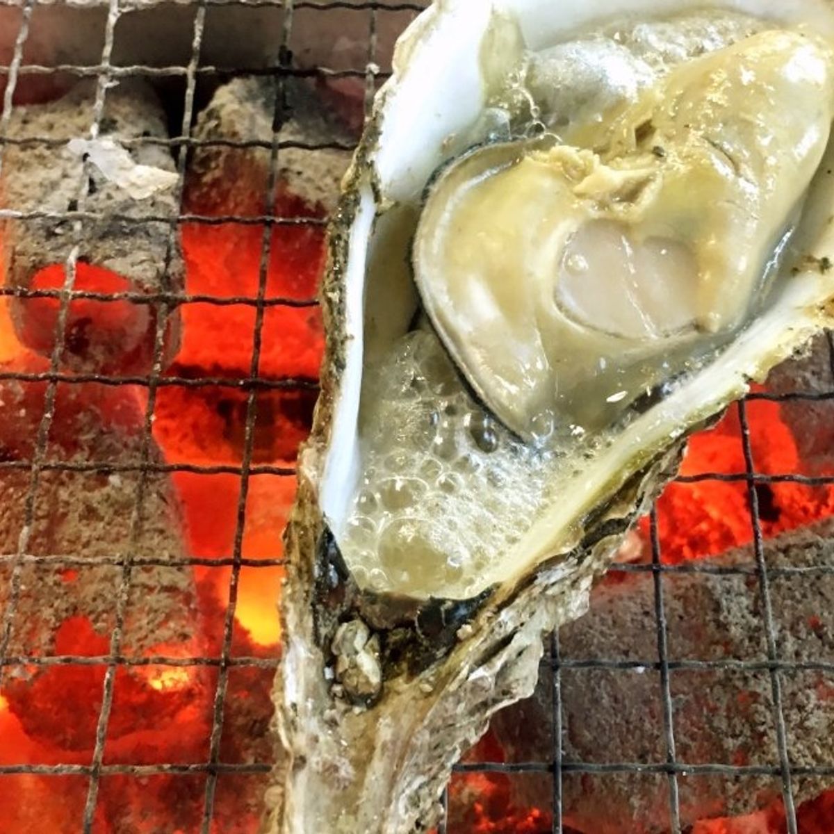 Best of Hiroshima Food Tour