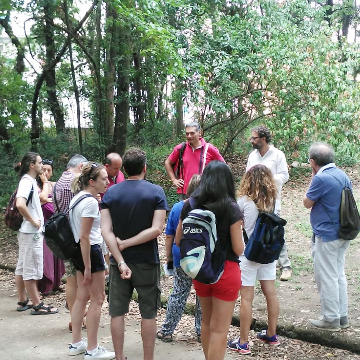 Discover Edible Wild Plants on a Botanical Walk
