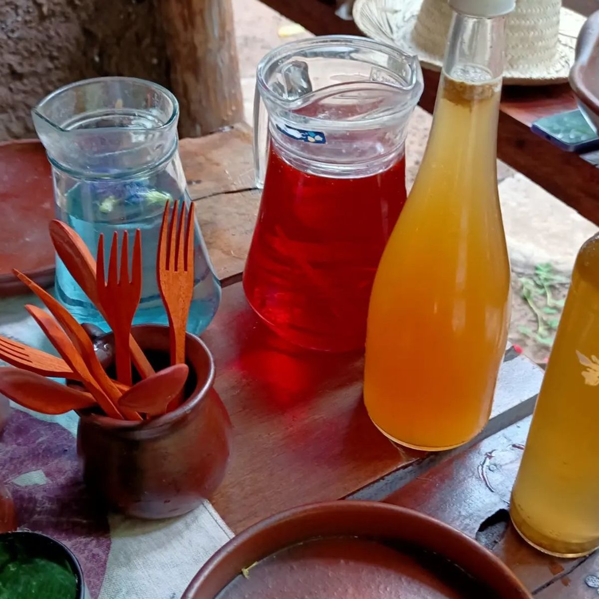 SHAYA Junglekitchen - The Plant Based Food Hunters with KIDS Academy