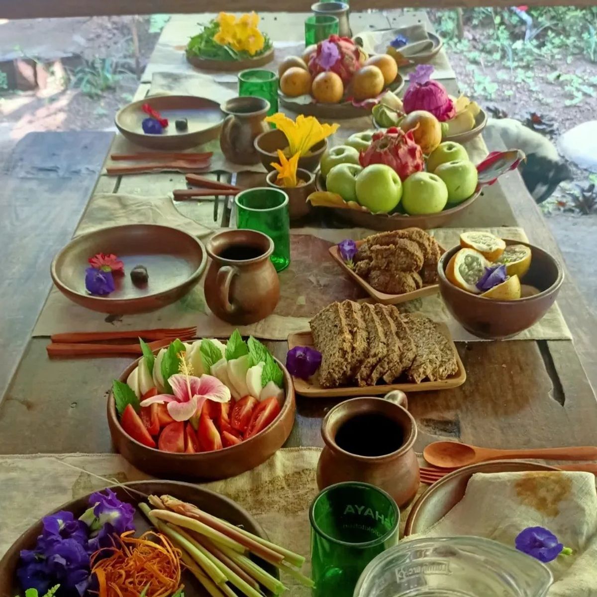 SHAYA Junglekitchen - The Plant Based Food Hunters with KIDS Academy