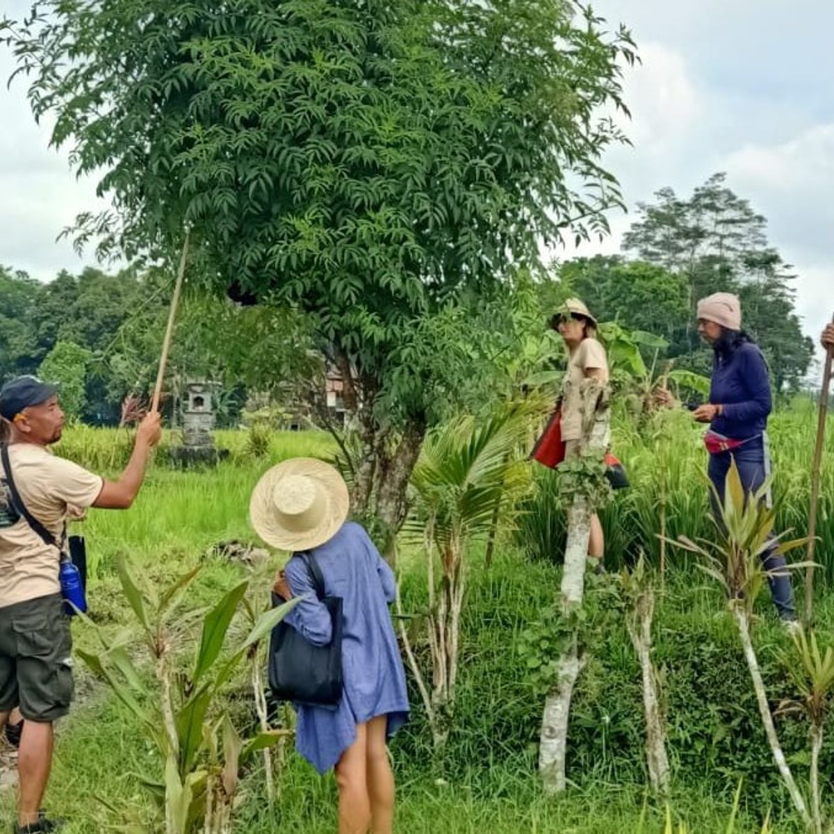 SHAYA Junglekitchen - The Plant Based Food Hunters with KIDS Academy