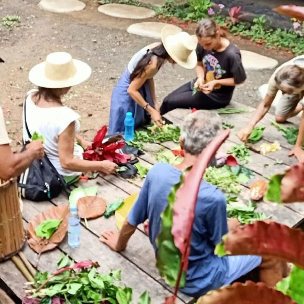 SHAYA Junglekitchen - The Plant Based Food Hunters with KIDS Academy