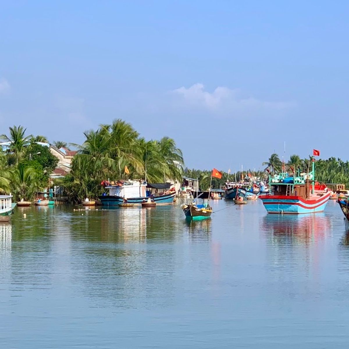 Free Transfer From Danang: Basket Boat Riding, Buffalo Riding and Cooking Class