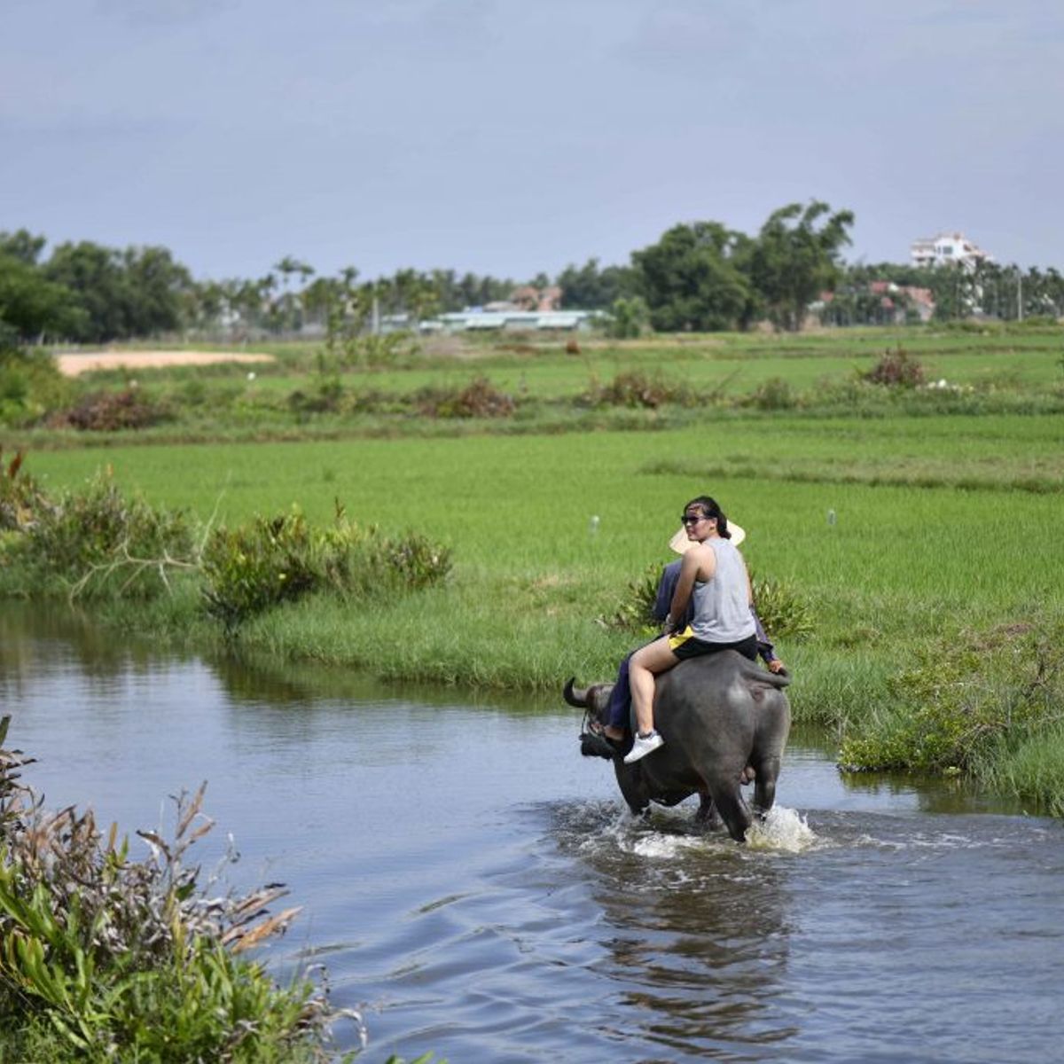 Free Transfer From Danang: Basket Boat Riding, Buffalo Riding and Cooking Class