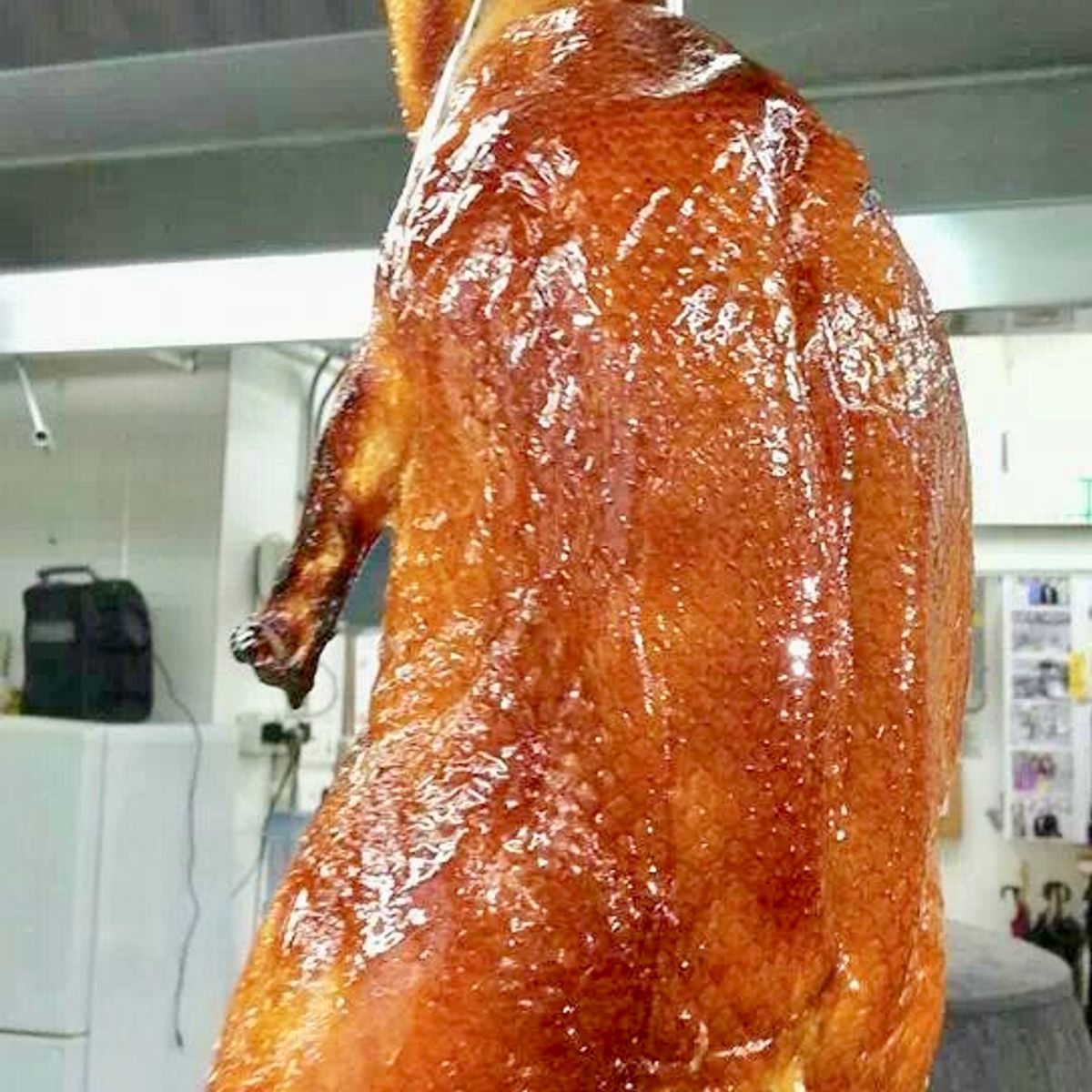 Cantonese Roast Duck or Suckling Pig Cooking Class
