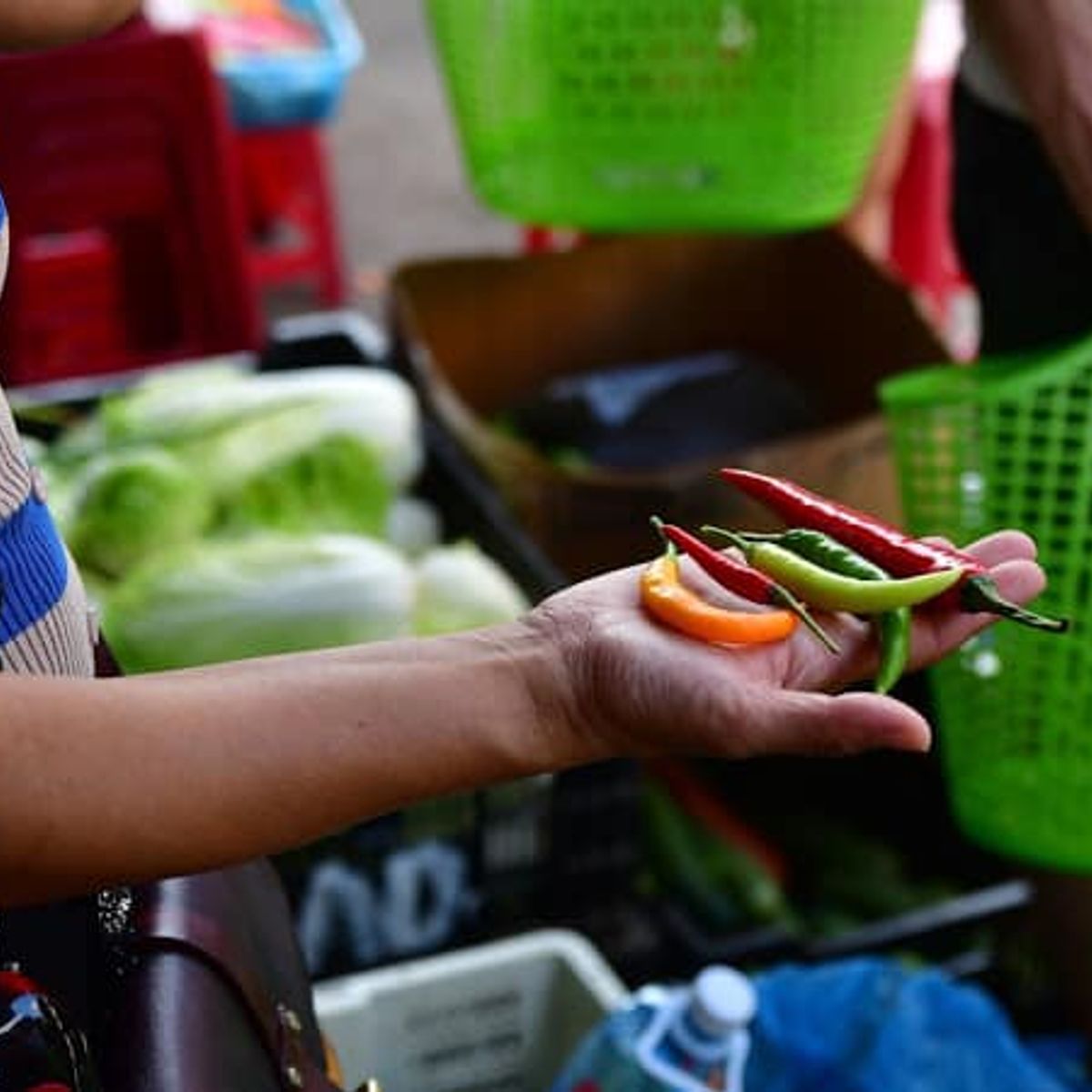 "Choose Your Own Menu" Vietnamese Cooking Class with Market Tour