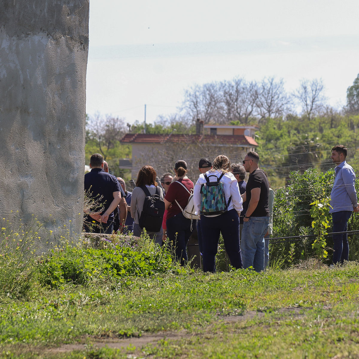 Mount Vesuvius Wine Tasting with Vineyard Views & Traditional Lunch Experience