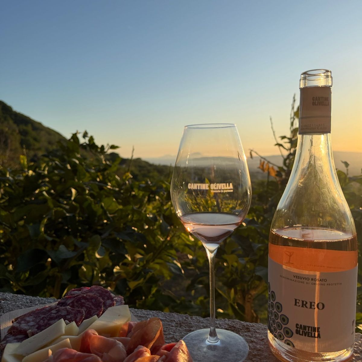 Mount Vesuvius Wine Tasting with Vineyard Views & Traditional Lunch Experience