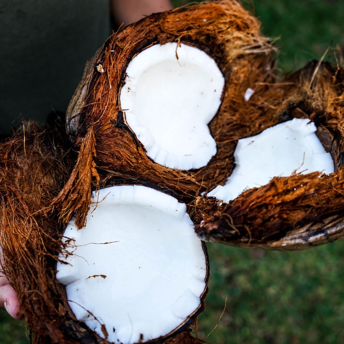 Make Your Own Organic Coconut Oil in a Traditional Balinese Village
