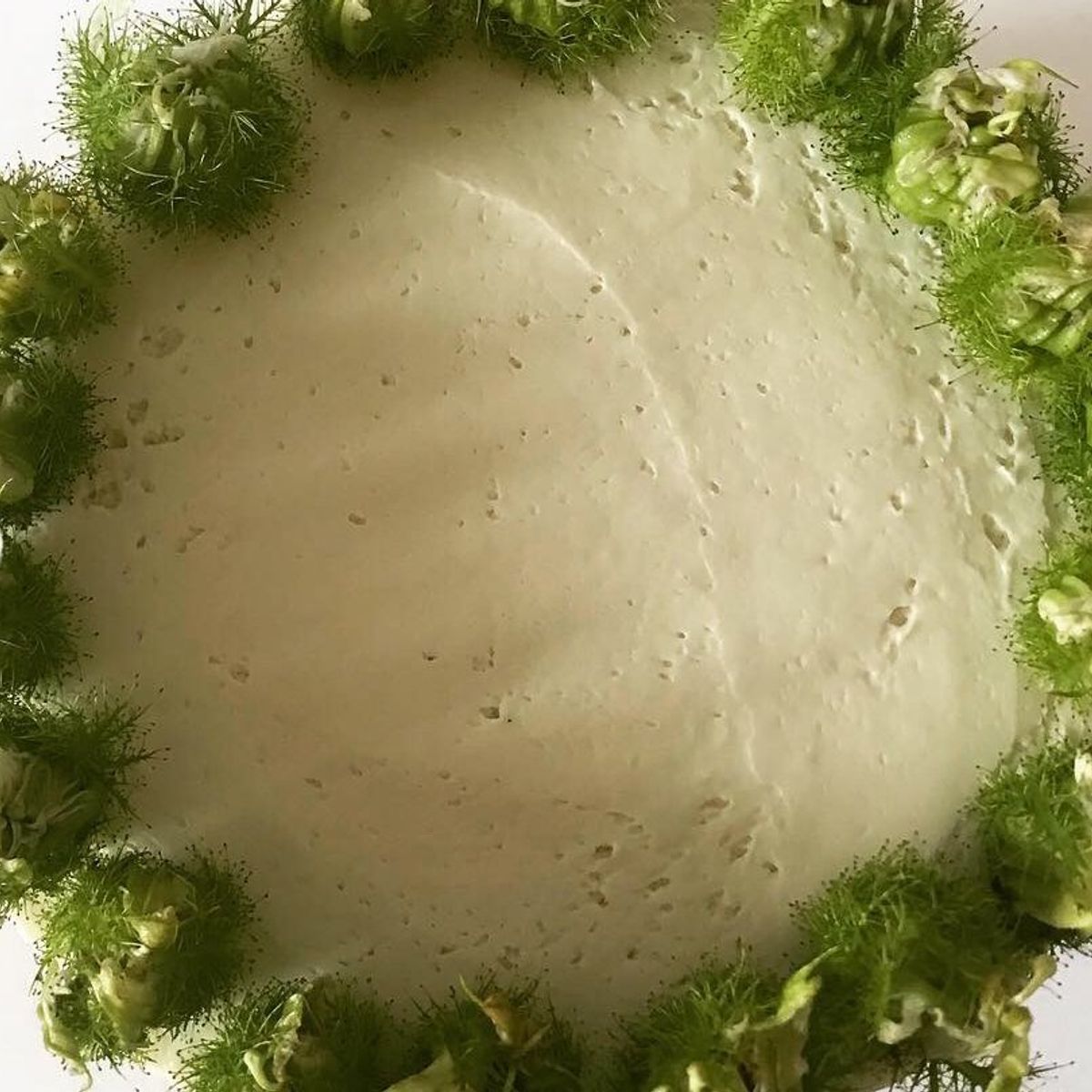 Contemporary Raw and Vegan Desserts Class