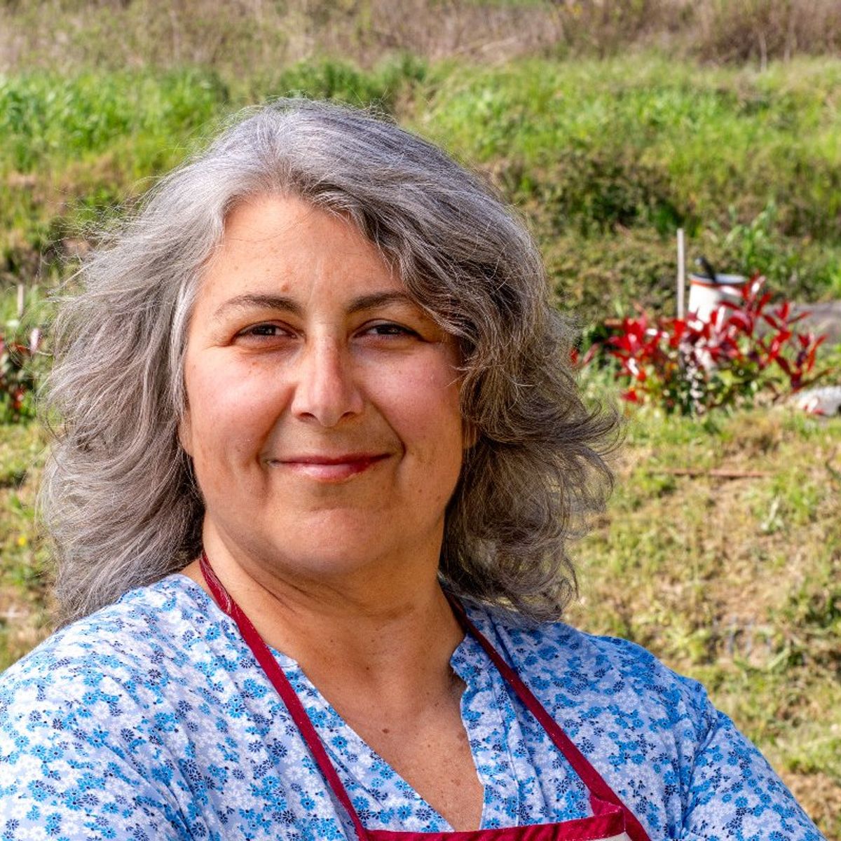 Cook and Eat Fresh Pasta and Tiramisù in the Umbrian Hills