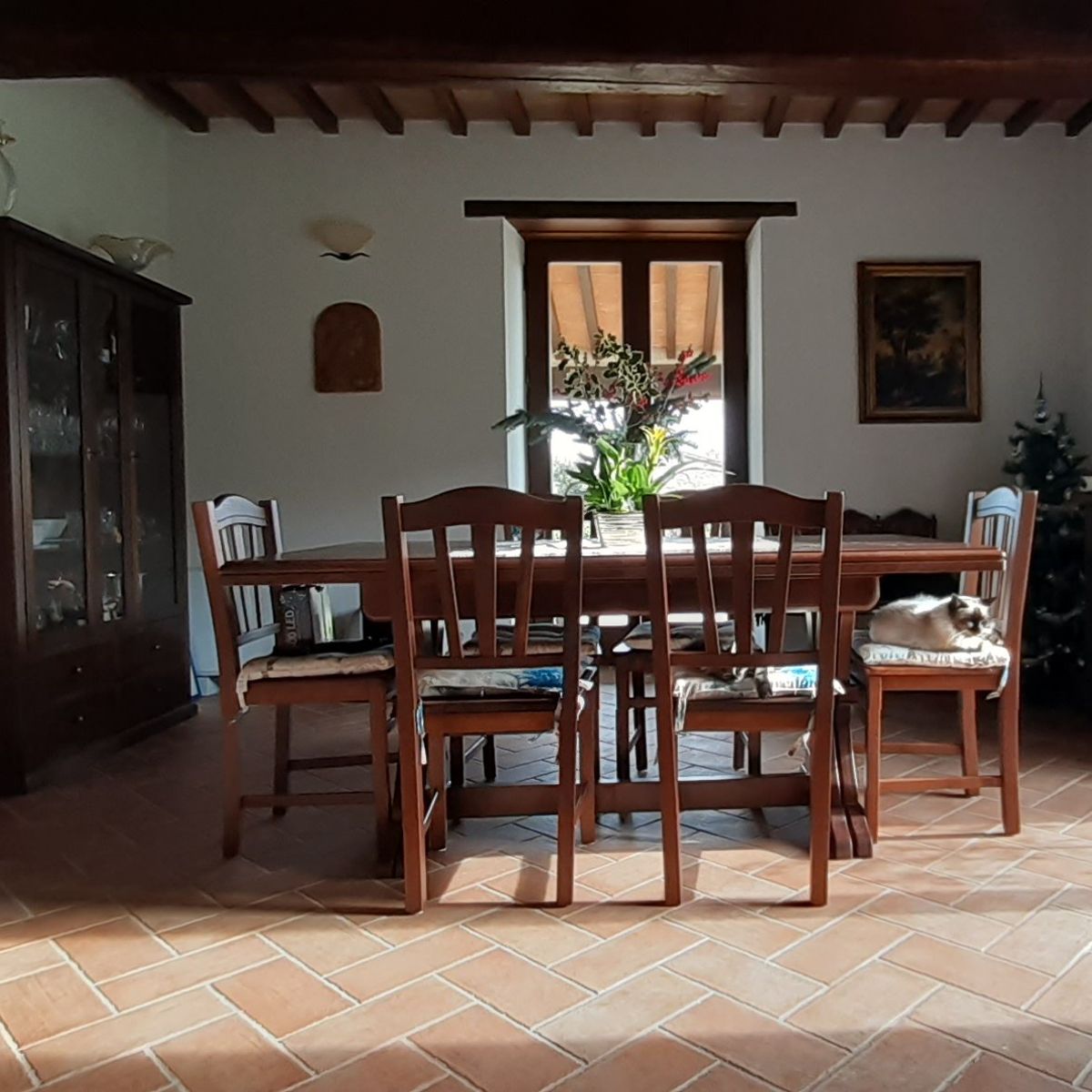 Cook and Eat Fresh Pasta and Tiramisù in the Umbrian Hills
