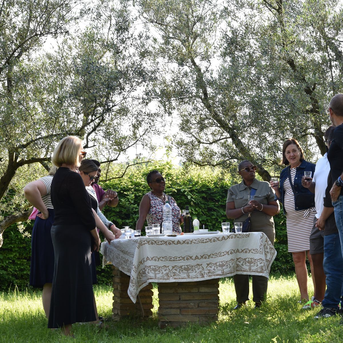 Cook Like a Local in San Marino Countryside