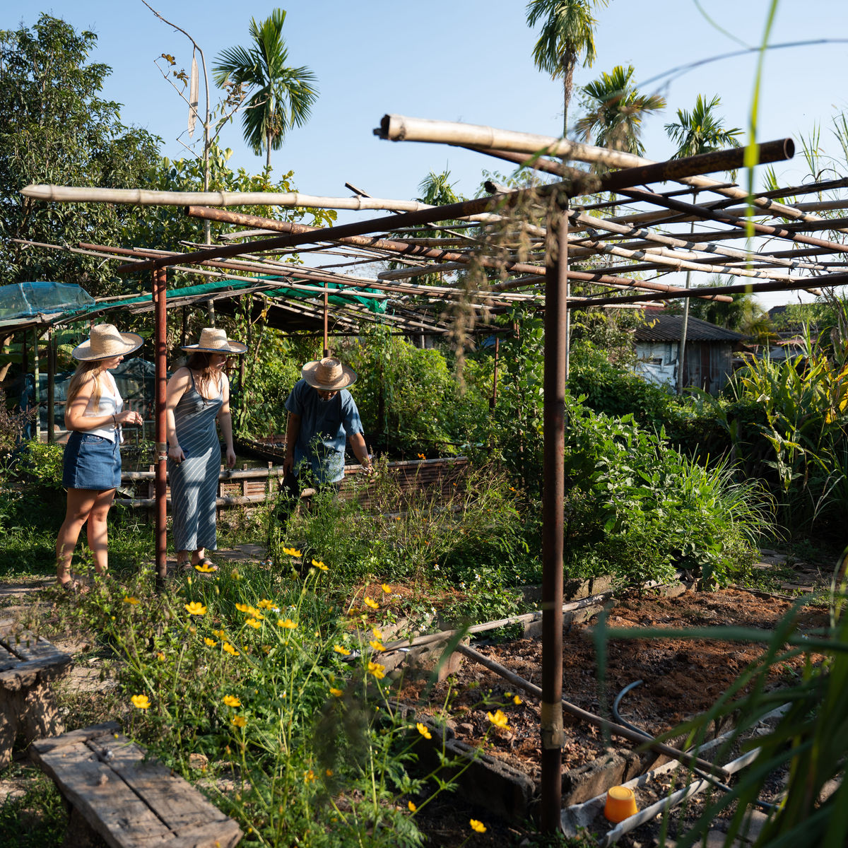 Cooking Experience with a Local Organic Farmer & Fresh Market Visit